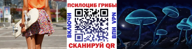 купить  сайты  Мончегорск  Галлюциногенные грибы Cubensis 